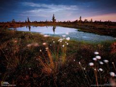Tapeta National Geographic 450.jpg